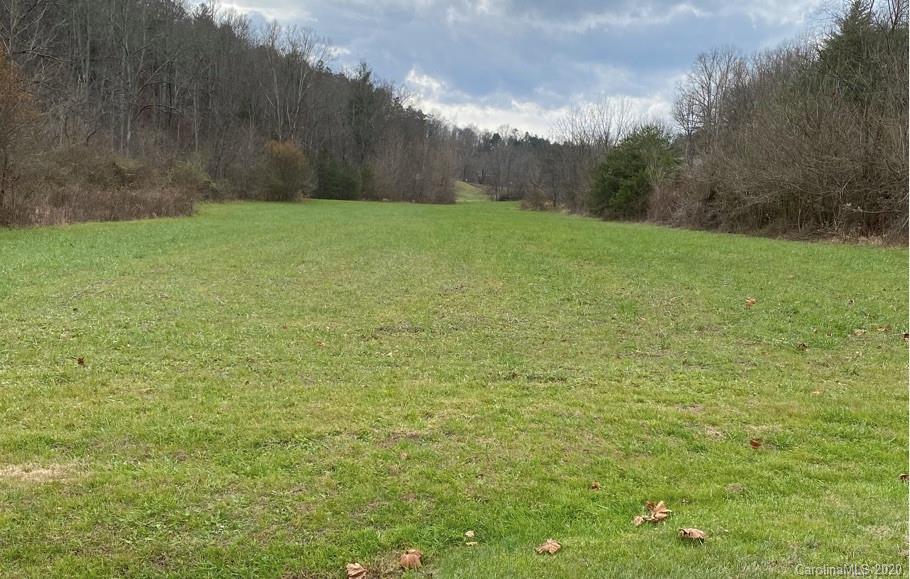 672 Curtis Parker Road Alexander, NC 28701 - Photo 8 of 23 Gallery Image 8
