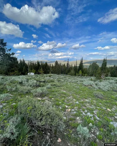 $79,000 | Brown Trout Drive, Kemmerer, WY 83101