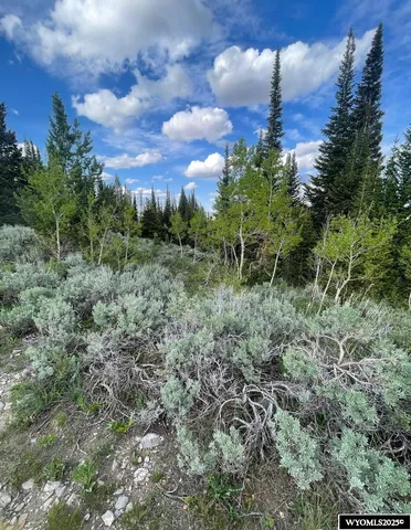 $79,000 | Brown Trout Drive, Kemmerer, WY 83101