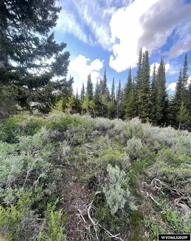 $79,000 | Brown Trout Drive, Kemmerer, WY 83101