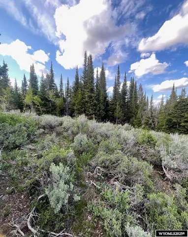 $79,000 | Brown Trout Drive, Kemmerer, WY 83101