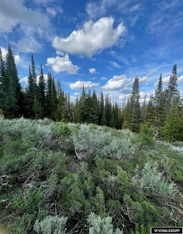 $79,000 | Brown Trout Drive, Kemmerer, WY 83101