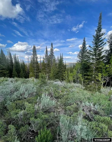 $79,000 | Brown Trout Drive, Kemmerer, WY 83101