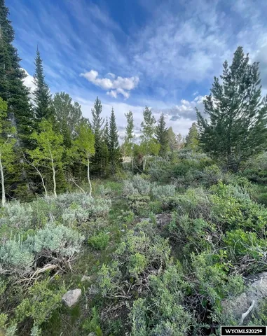 $79,000 | Brown Trout Drive, Kemmerer, WY 83101