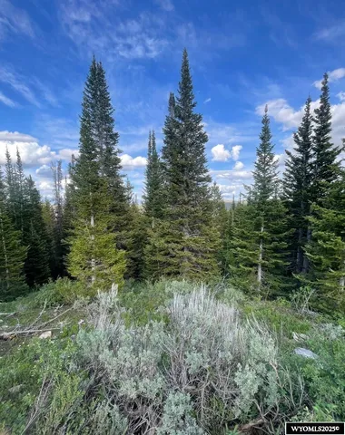 $79,000 | Brown Trout Drive, Kemmerer, WY 83101