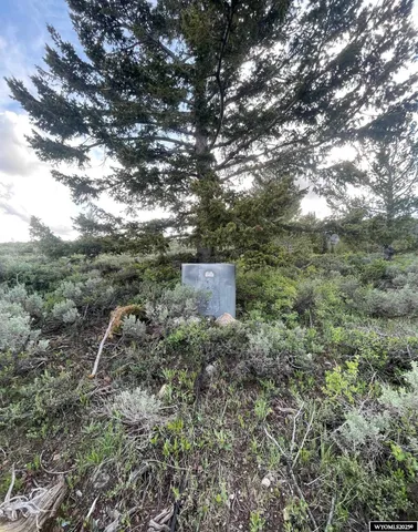 $79,000 | Brown Trout Drive, Kemmerer, WY 83101