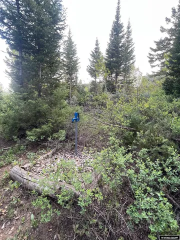 $79,000 | Brown Trout Drive, Kemmerer, WY 83101