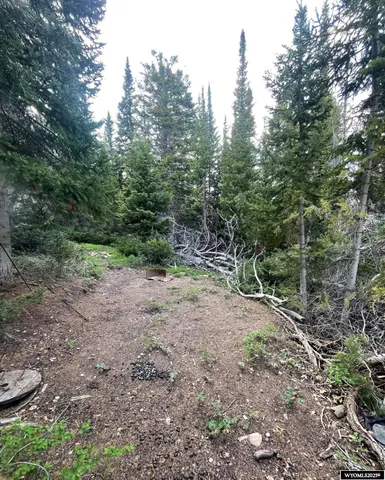 $79,000 | Brown Trout Drive, Kemmerer, WY 83101