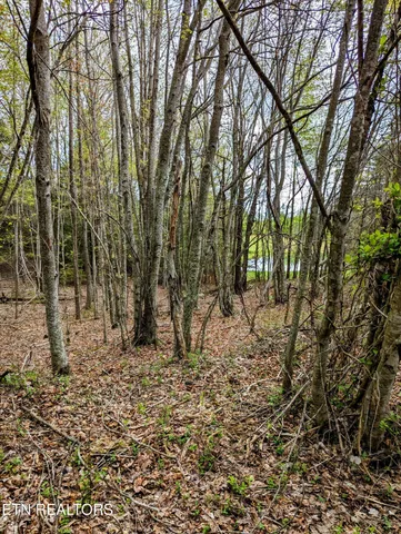 $44,350 | Lot 762 Surrey Lane, Spencer, TN 38585