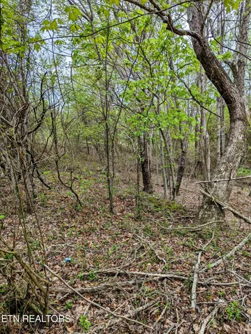 $44,350 | Lot 762 Surrey Lane, Spencer, TN 38585