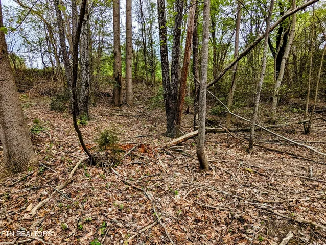 $44,350 | Lot 762 Surrey Lane, Spencer, TN 38585