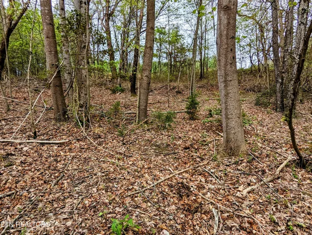 $44,350 | Lot 762 Surrey Lane, Spencer, TN 38585