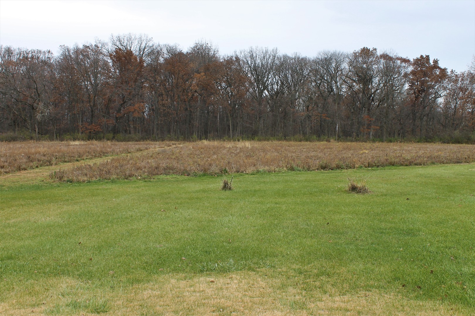 8776 Wolf Road Kingston, IL 60145 - Photo 34 of 35 a view of a backyard