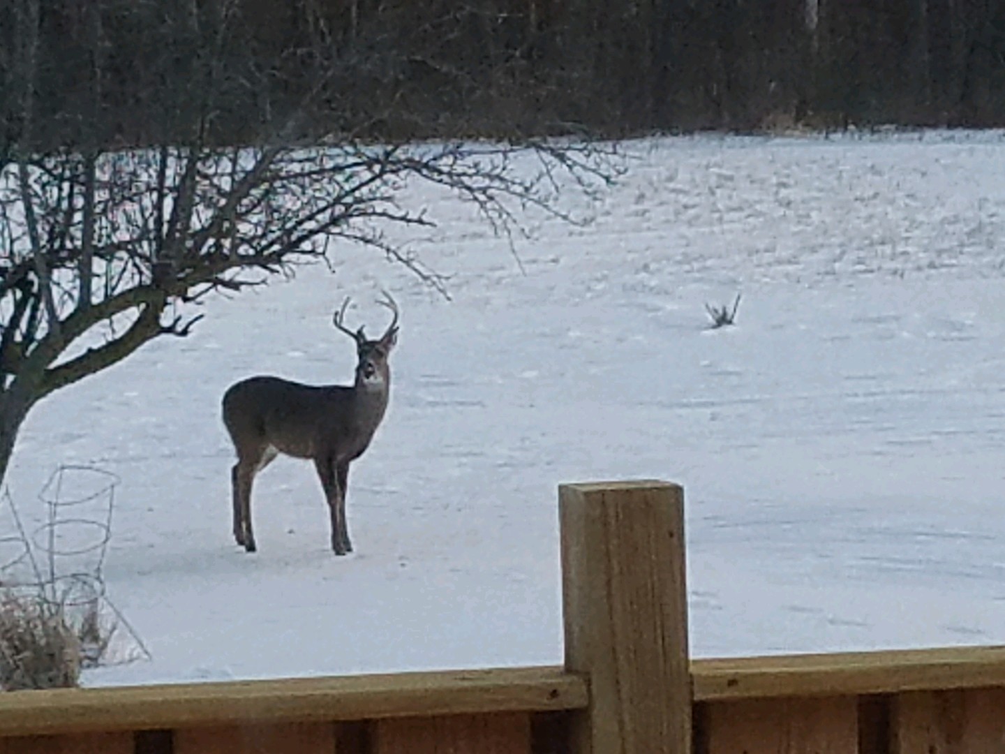8776 Wolf Road Kingston, IL 60145 - Photo 35 of 35 a vase of flowers sitting on a table