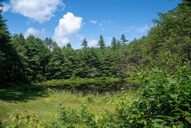 $730,000 | 341 Under The Mountain Road, Londonderry, VT 05155