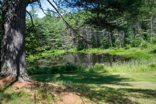 $690,000 | 341 Under The Mountain Road, Londonderry, VT 05155