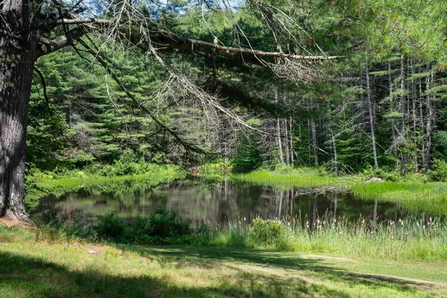 $730,000 | 341 Under The Mountain Road, Londonderry, VT 05155