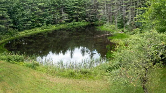 $730,000 | 341 Under The Mountain Road, Londonderry, VT 05155