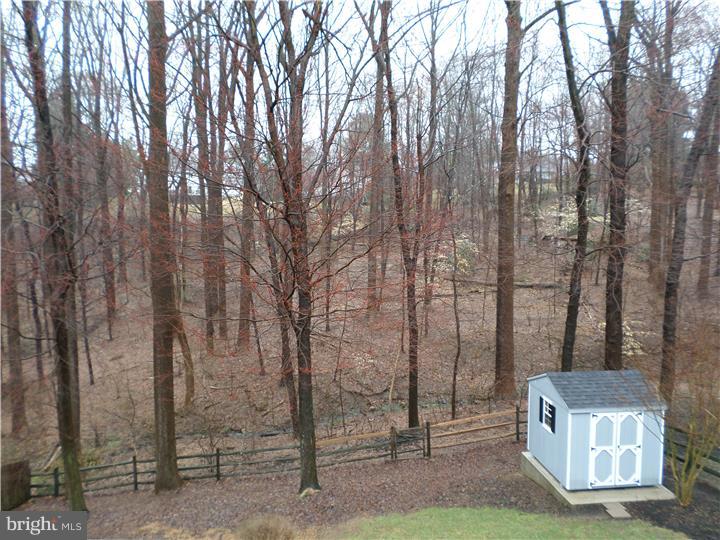764 Kelli Lane Springfield, PA 19064 - Photo 21 of 21 Exterior Back