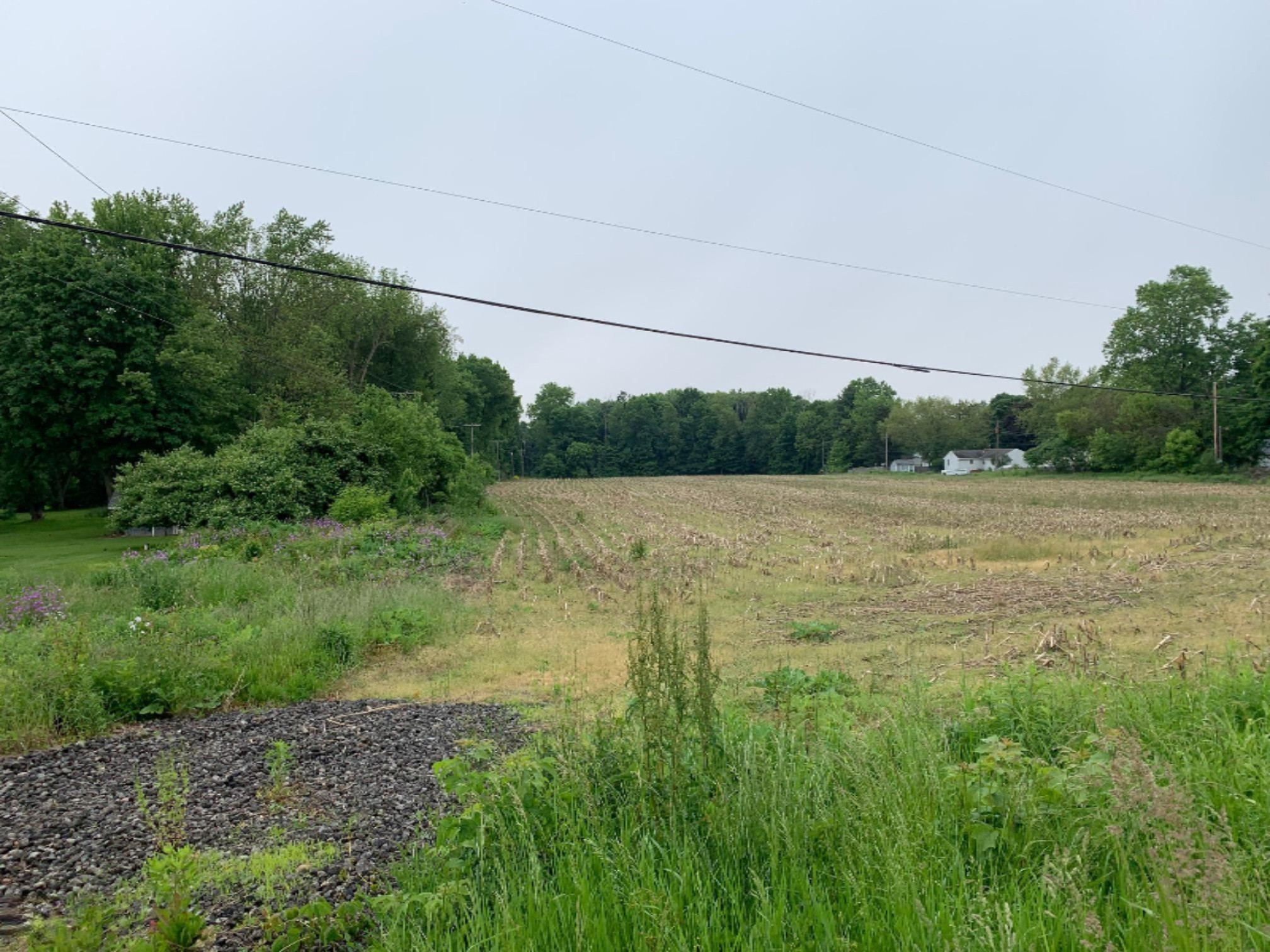 0 Niles Buchanan Road Buchanan, MI 49107 - Photo 1 of 4 44444