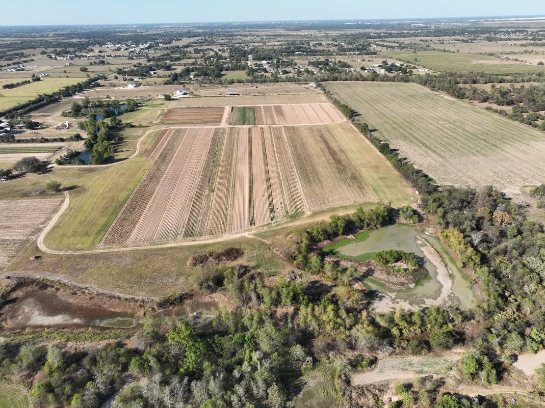 14136 Penick Road Waller, TX 77484 - Photo 18 of 20