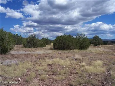 a view of a yard with an outdoor space