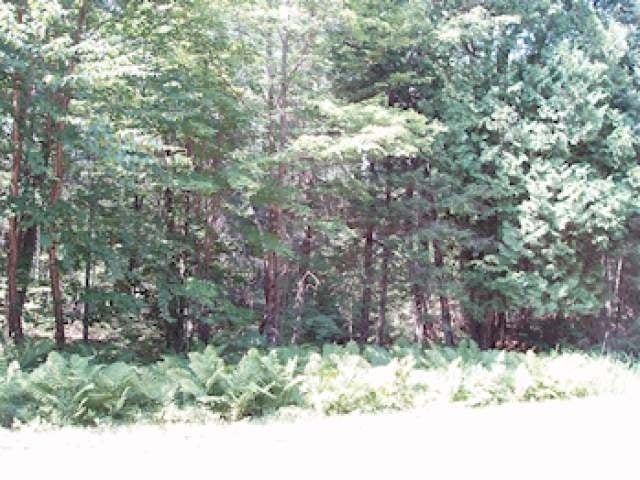 31523 Meder Lake Road Mellen, WI 54546 - Photo 14 of 19 Gallery Image 14