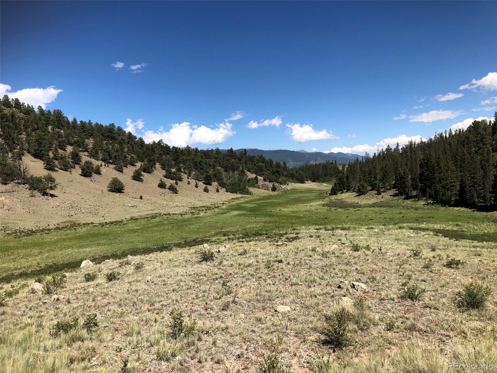 1135 Swiggler Road Jefferson, CO 80456 - Photo 13 of 26 a view of a golf course with a big yard