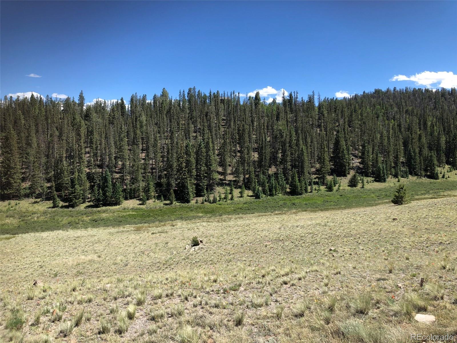 1135 Swiggler Road Jefferson, CO 80456 - Photo 14 of 26 a view of a park with large trees