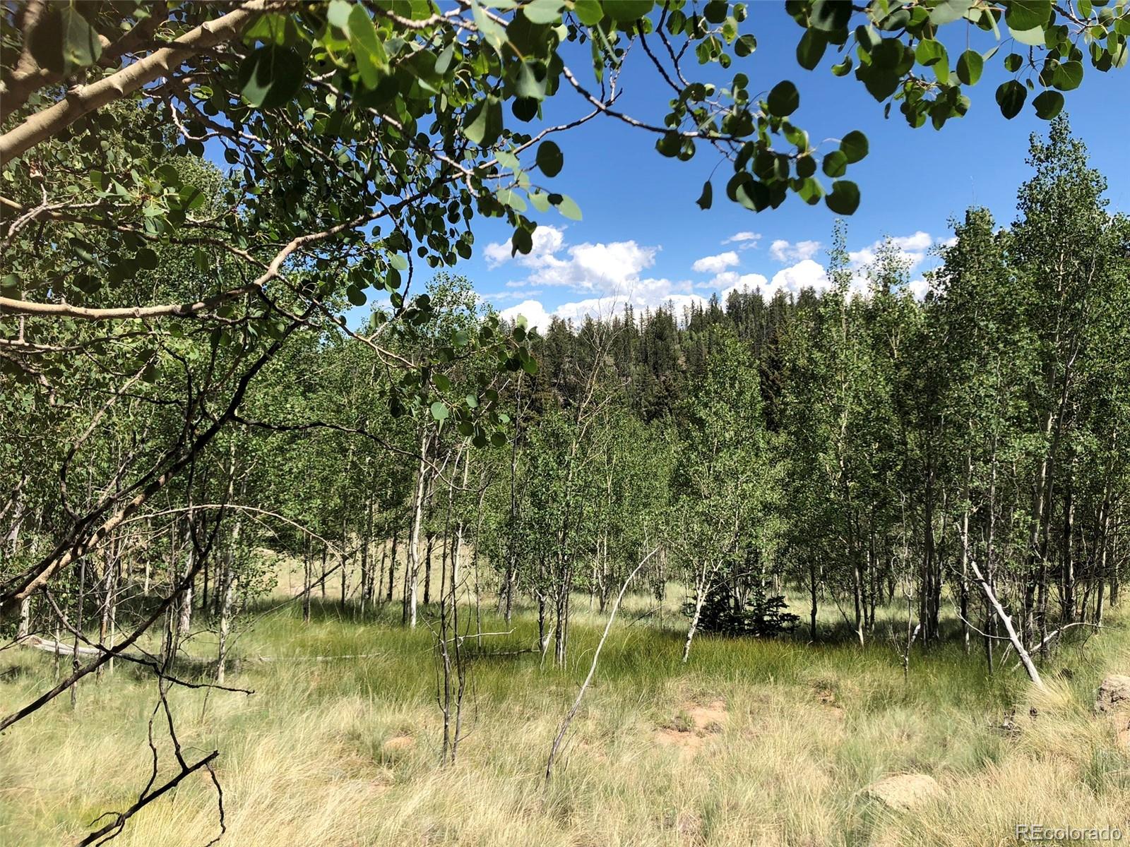 1135 Swiggler Road Jefferson, CO 80456 - Photo 16 of 26 a view of a lake