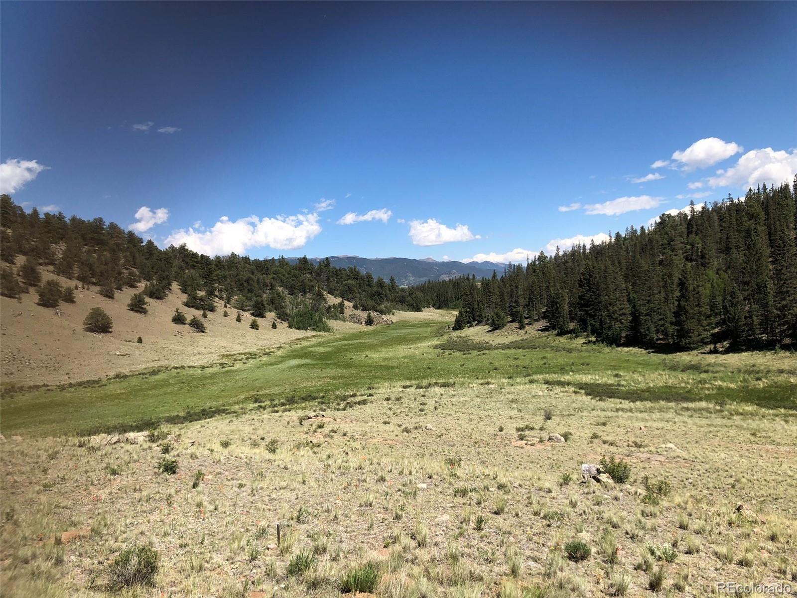 1135 Swiggler Road Jefferson, CO 80456 - Photo 17 of 26 a view of a yard with a house