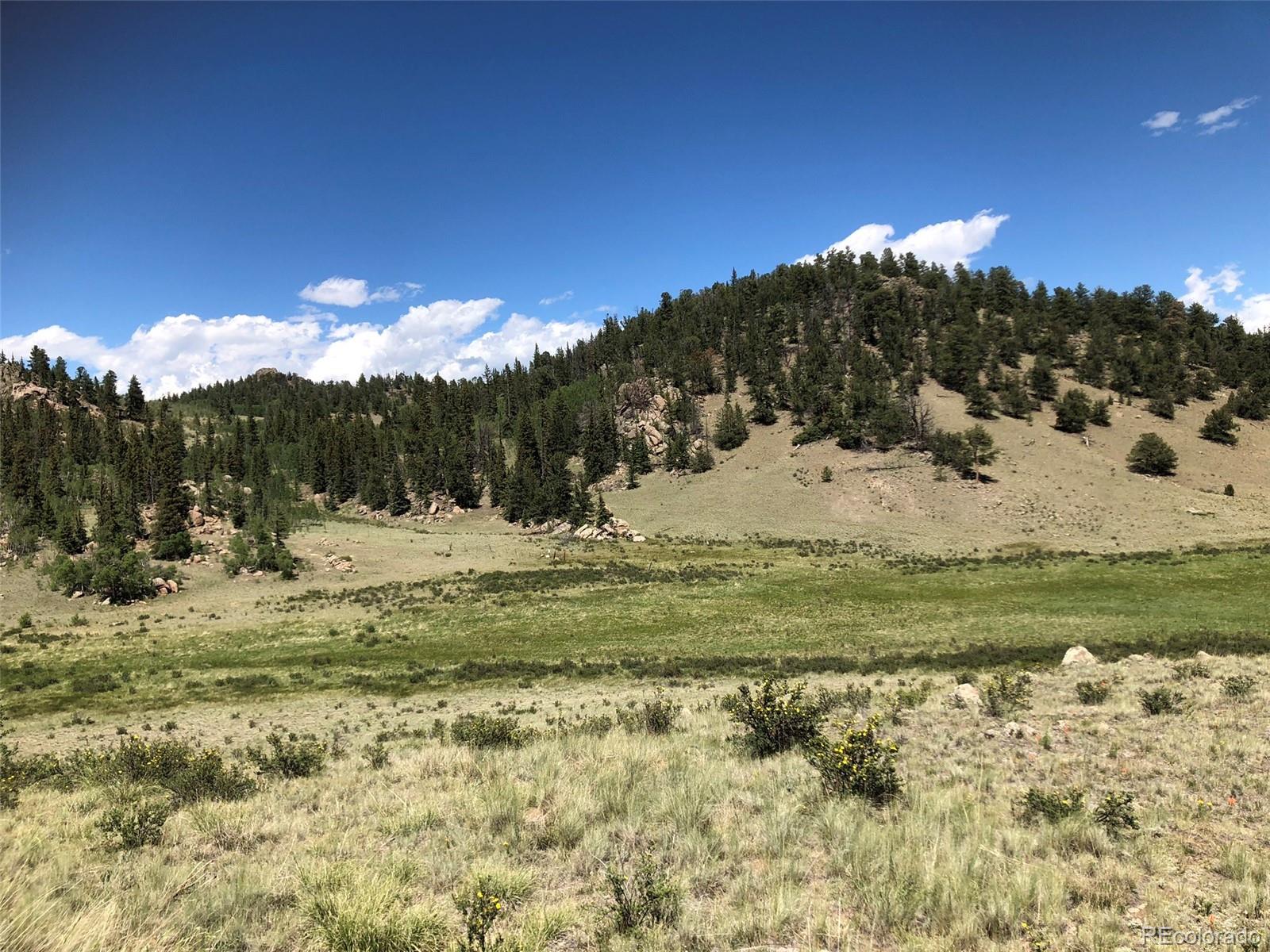 1135 Swiggler Road Jefferson, CO 80456 - Photo 18 of 26 a view of a town with pool of water mountain and mountain view in back