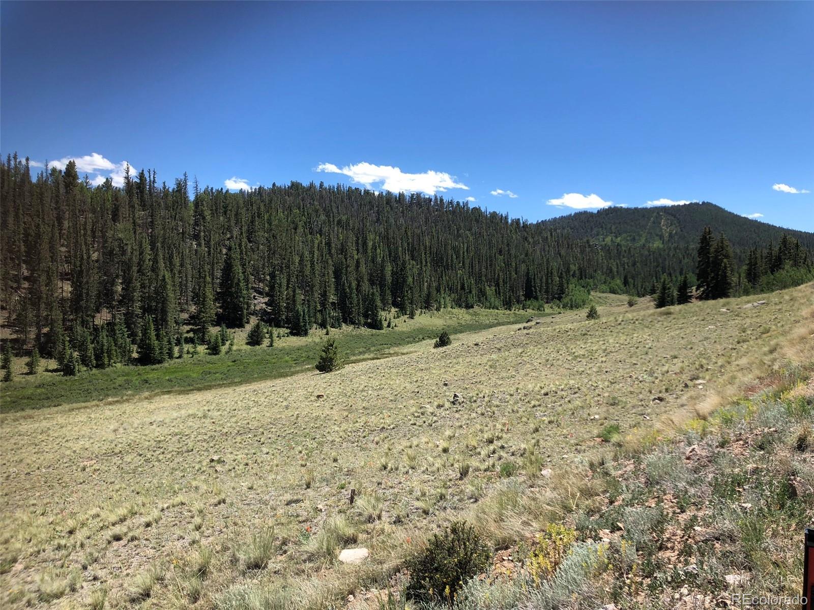 1135 Swiggler Road Jefferson, CO 80456 - Photo 19 of 26 a view of outdoor space with mountain view