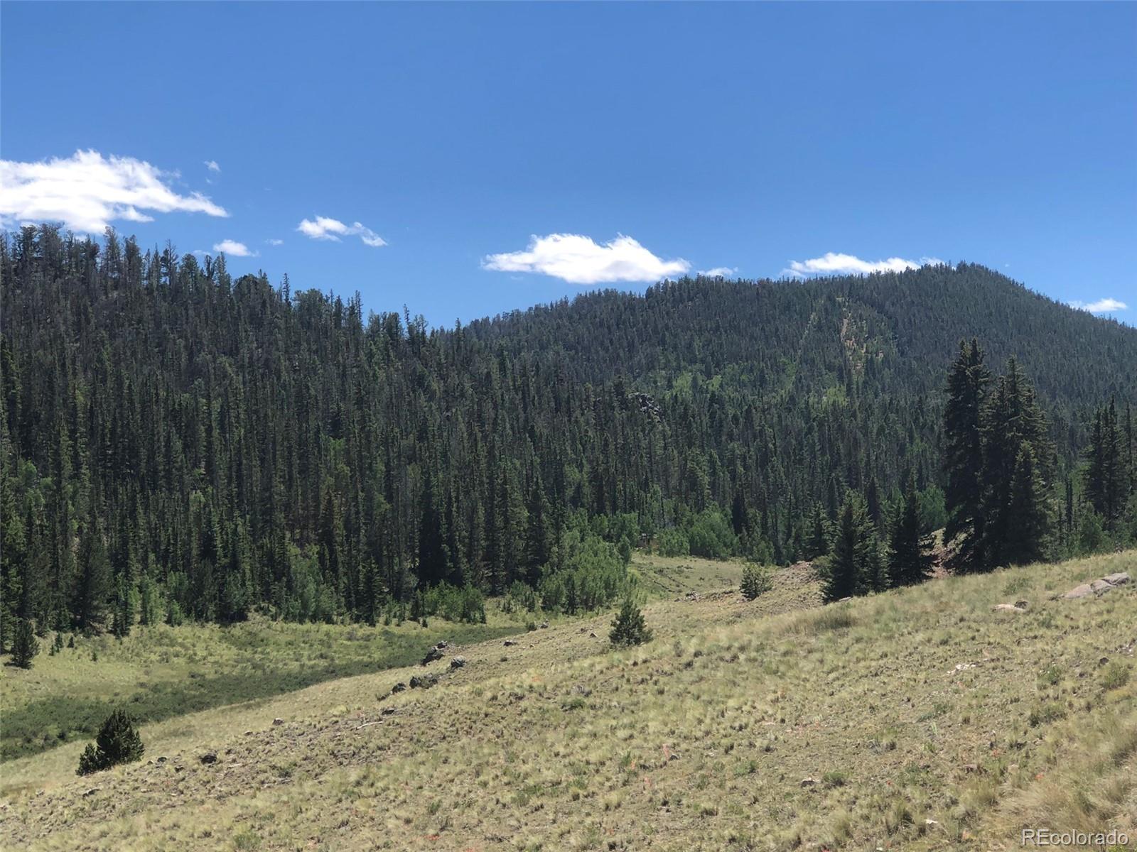 1135 Swiggler Road Jefferson, CO 80456 - Photo 2 of 26 a view of a backyard of a house