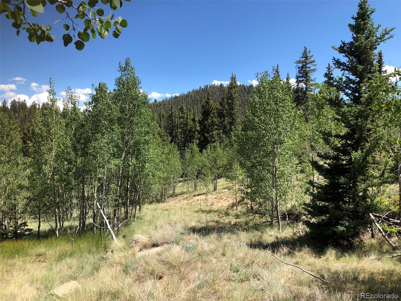 1135 Swiggler Road Jefferson, CO 80456 - Photo 22 of 26 a view of a lake with a tree in the background