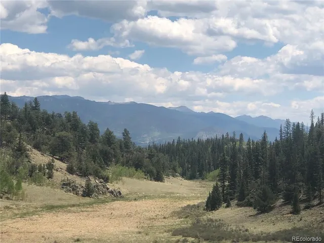 a view of a dry yard with trees