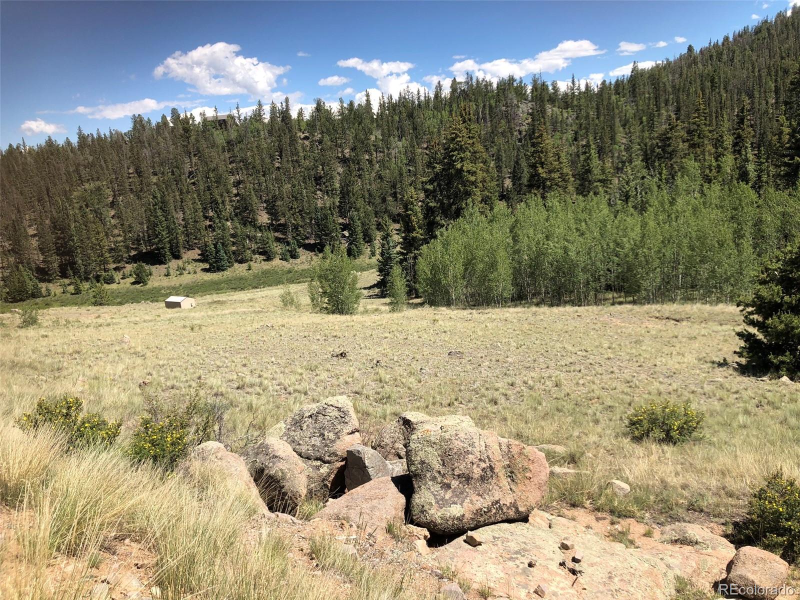 1135 Swiggler Road Jefferson, CO 80456 - Photo 4 of 26 a view of a snow on the ground and a mountain