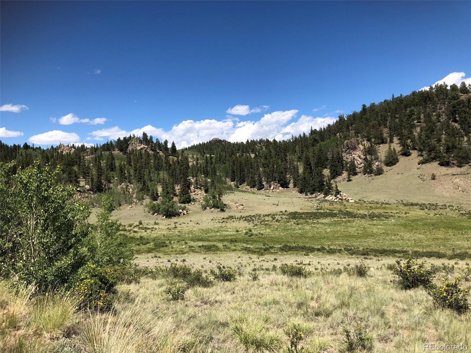 1135 Swiggler Road Jefferson, CO 80456 - Photo 6 of 26 a view of a town with mountains in the background