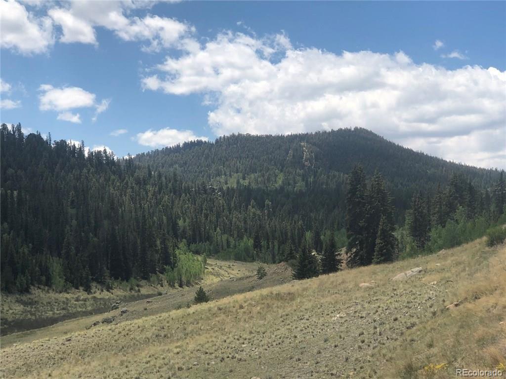 1135 Swiggler Road Jefferson, CO 80456 - Photo 7 of 26 a view of a yard with mountain view