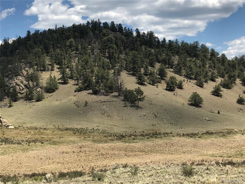 1135 Swiggler Road Jefferson, CO 80456 - Photo 8 of 26 a view of a yard with a snow