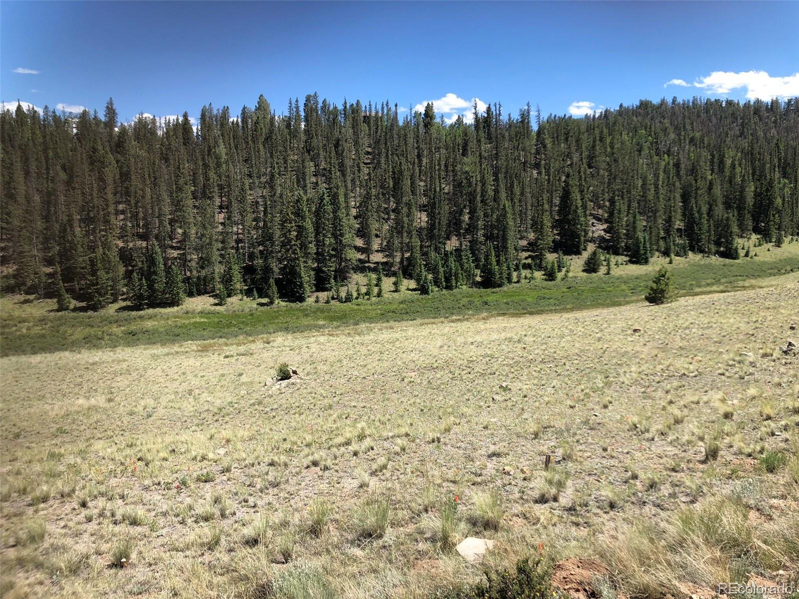 1135 Swiggler Road Jefferson, CO 80456 - Photo 10 of 26 a view of outdoor space with trees