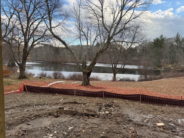 a view of a yard with large trees