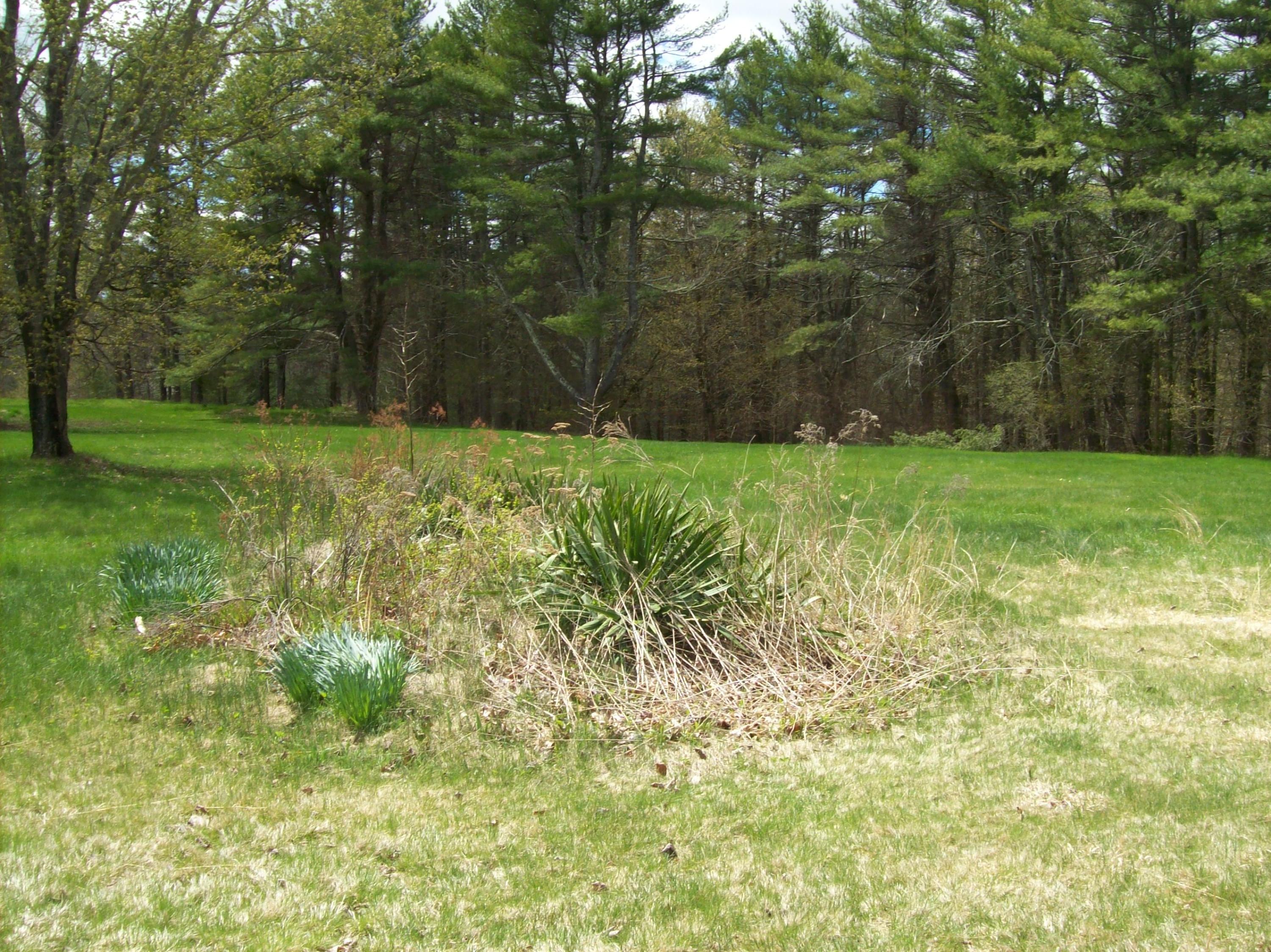 613 Upper Guinea Road Lebanon, ME 04027 - Photo 31 of 46 back yard plantings