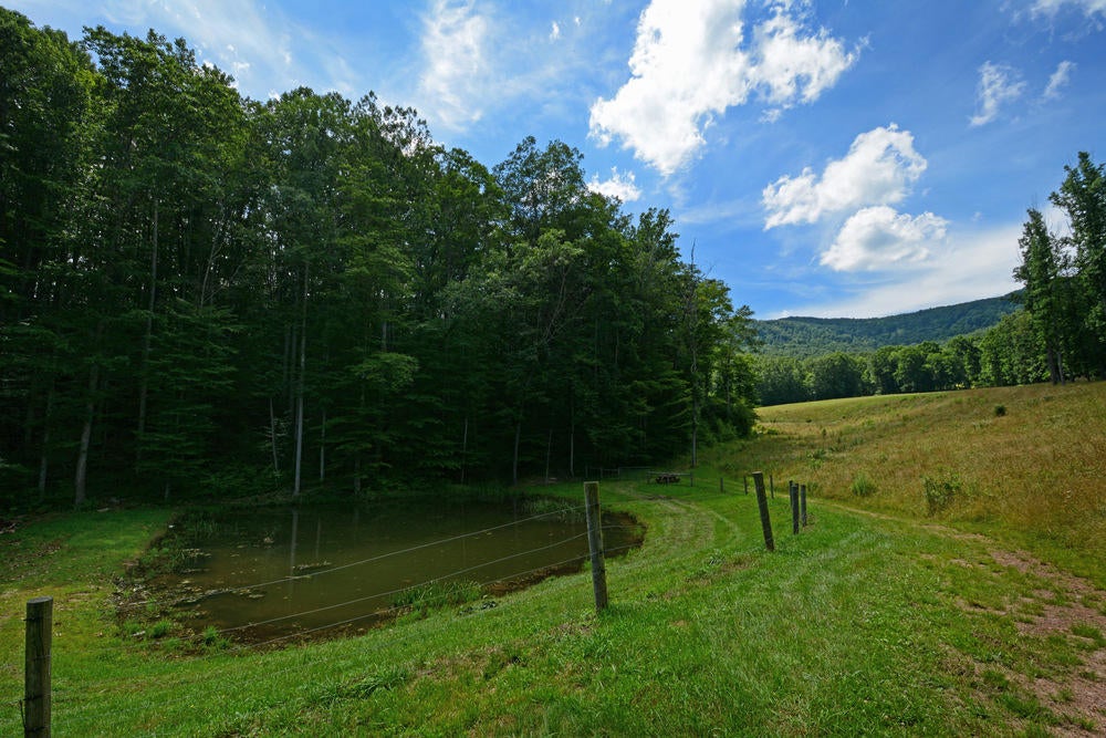 5225 Cornstalk Road Crawley, WV 24931 - Photo 16 of 44 Gallery Image 16