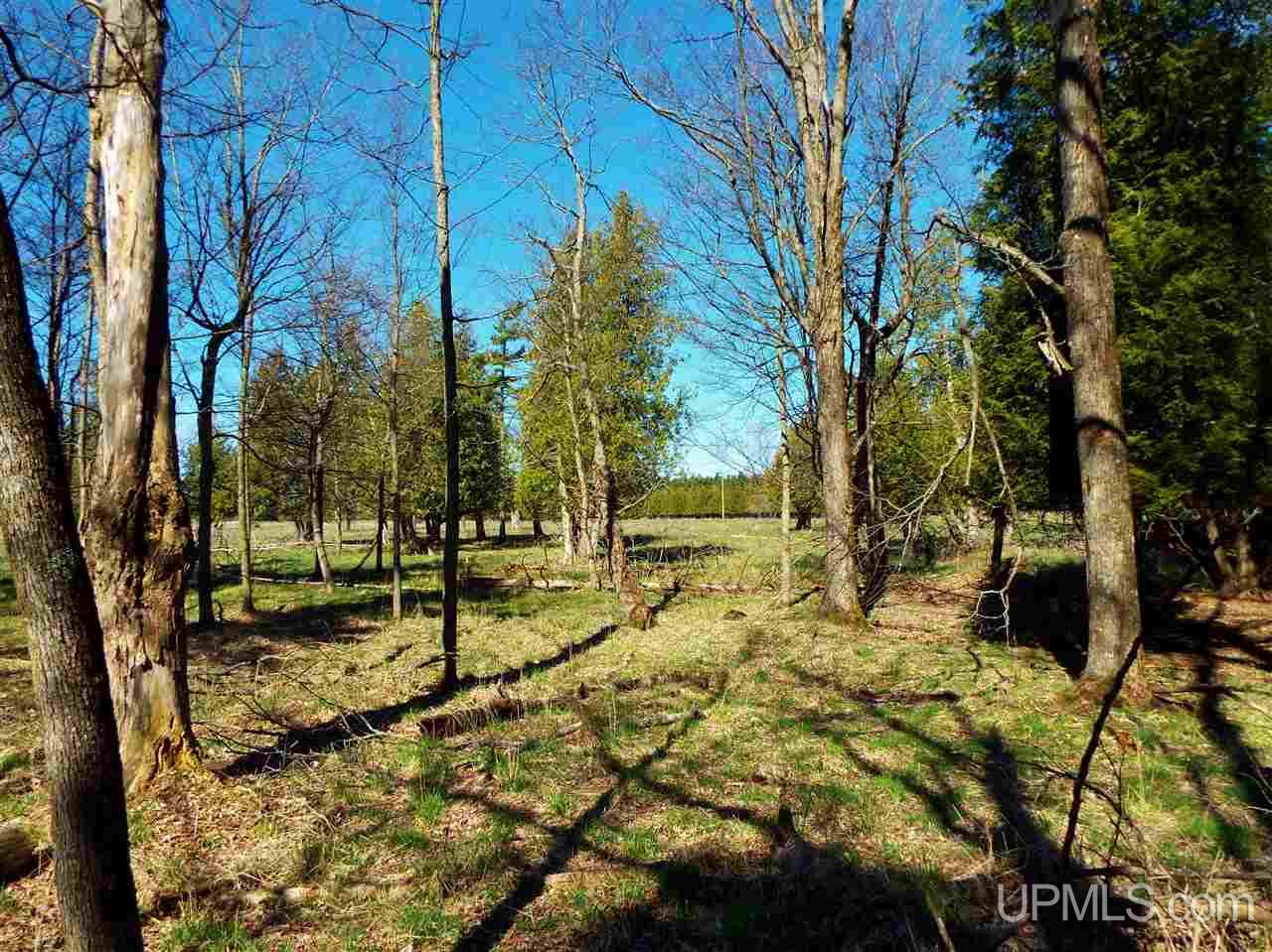 23 North (nn) Rd Garden Garden, MI 49835 - Photo 7 of 12