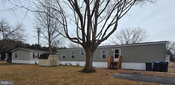 front view of a house with a trees