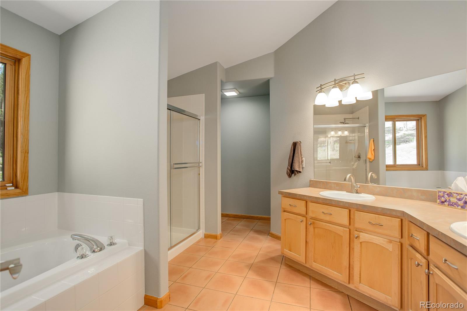 8360 South Warhawk Road Conifer, CO 80433 - Photo 20 of 40 a spacious bathroom with a tub sink and mirror