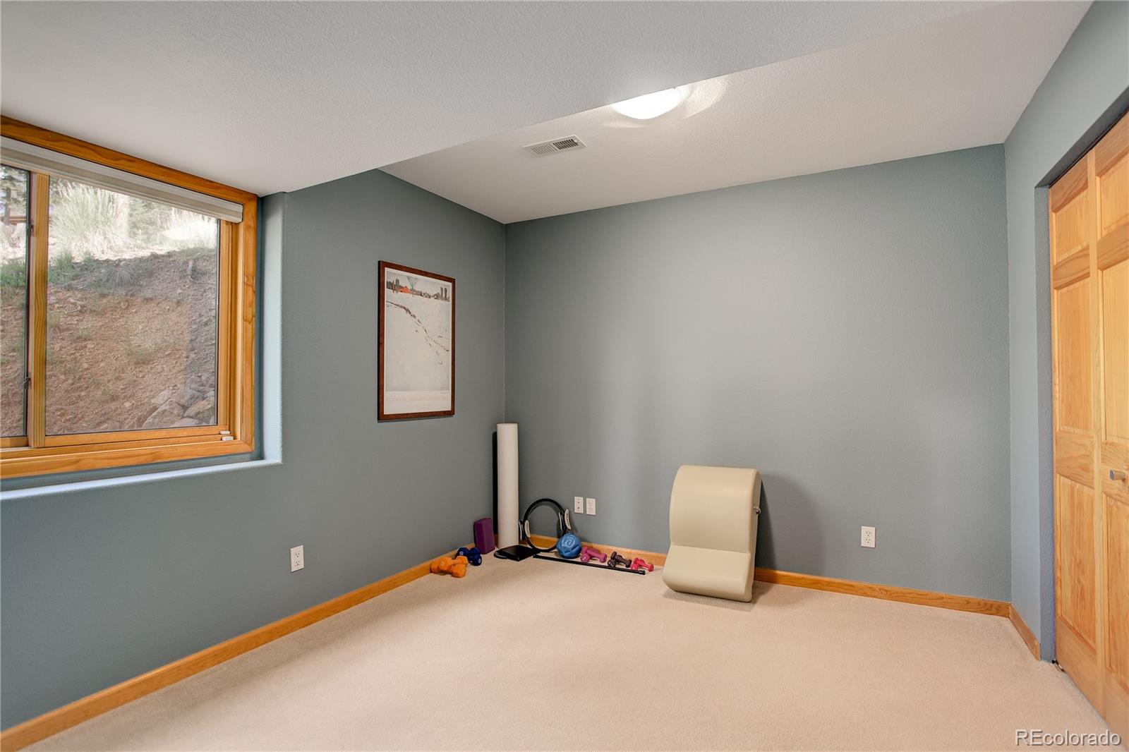 8360 South Warhawk Road Conifer, CO 80433 - Photo 31 of 40 a bedroom with a bed and a window