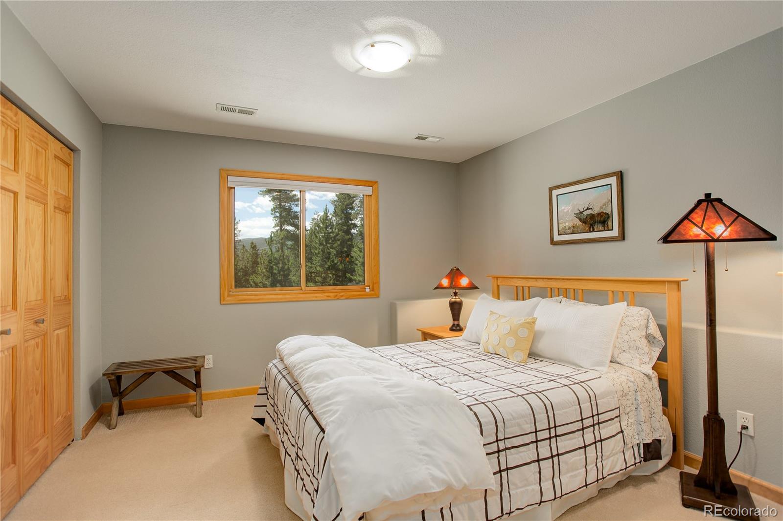 8360 South Warhawk Road Conifer, CO 80433 - Photo 34 of 40 a bedroom with a bed and a window