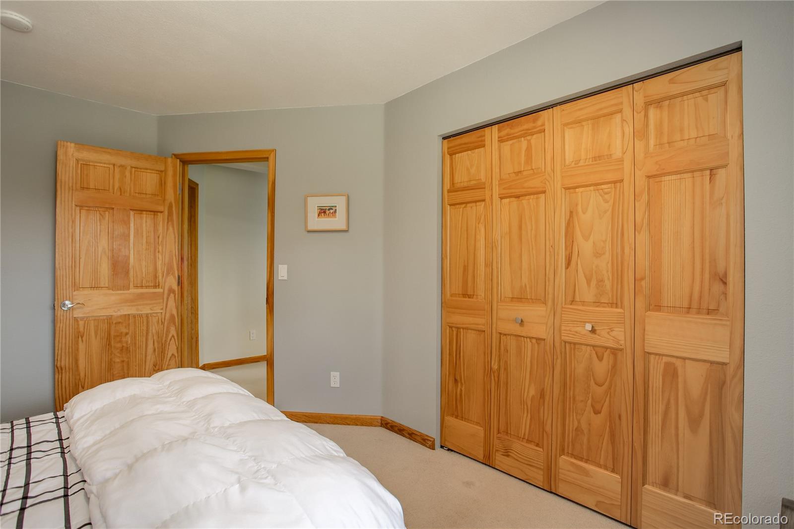 8360 South Warhawk Road Conifer, CO 80433 - Photo 35 of 40 a bedroom with a bed and a window
